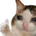 thumbsupgatico