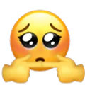 shy