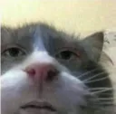 emoji_4