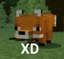 foxd