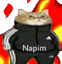 napimalev napimalev