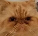 disapawnted disapawnted