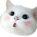 kittyOOO kittyOOO