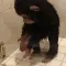 MonkeShower