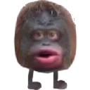 MonkeWot