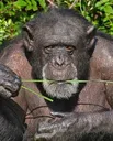 MonkeWise MonkeWise