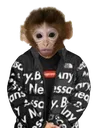 MonkeDrippy2