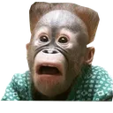 MonkeCry MonkeCry