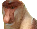 MonkeNose