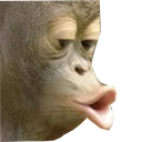 MonkePog2 Discord Emoji