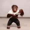 MonkeShirtless