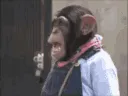 Monke5