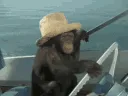 MonkeDriver