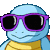 turtle_cool
