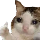 Cat Cry cat_cry Discord Emoji