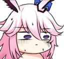 yaeconcern