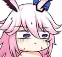 yaeconcern