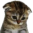 sadnod