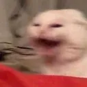 AAAAAAAAAAAAA