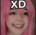 xd