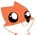 Skyfox_Waw