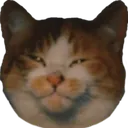 suskitty