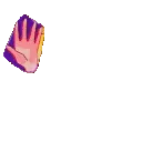 laceappears