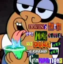expand_dong
