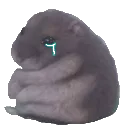 cryHam cryHam