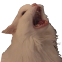 WH_Reeeeee Discord emoji