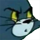 TomWTF