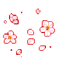 cherryblossom