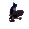 catSpin