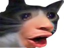 cryingcatpog Discord emoji