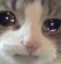 sad_ok