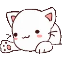 bongo