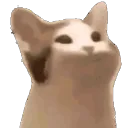 pogcat