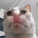 sadness sadness