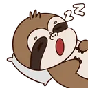ZRiggsSleep ZRiggsSleep