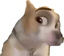 DogSus