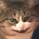 devilcat