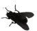 fly