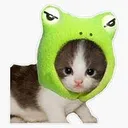 catwithfroghat Discord Emoji