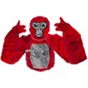 e_thumbsupgary e_thumbsupgary