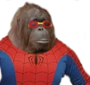 monkejimmy monkejimmy