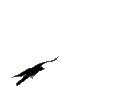 blackbird_fly Discord emoji