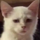 ch_pleasebequiet ch_pleasebequiet