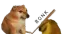 H_bonk H_bonk