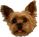 blep