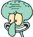 Squid_KEK